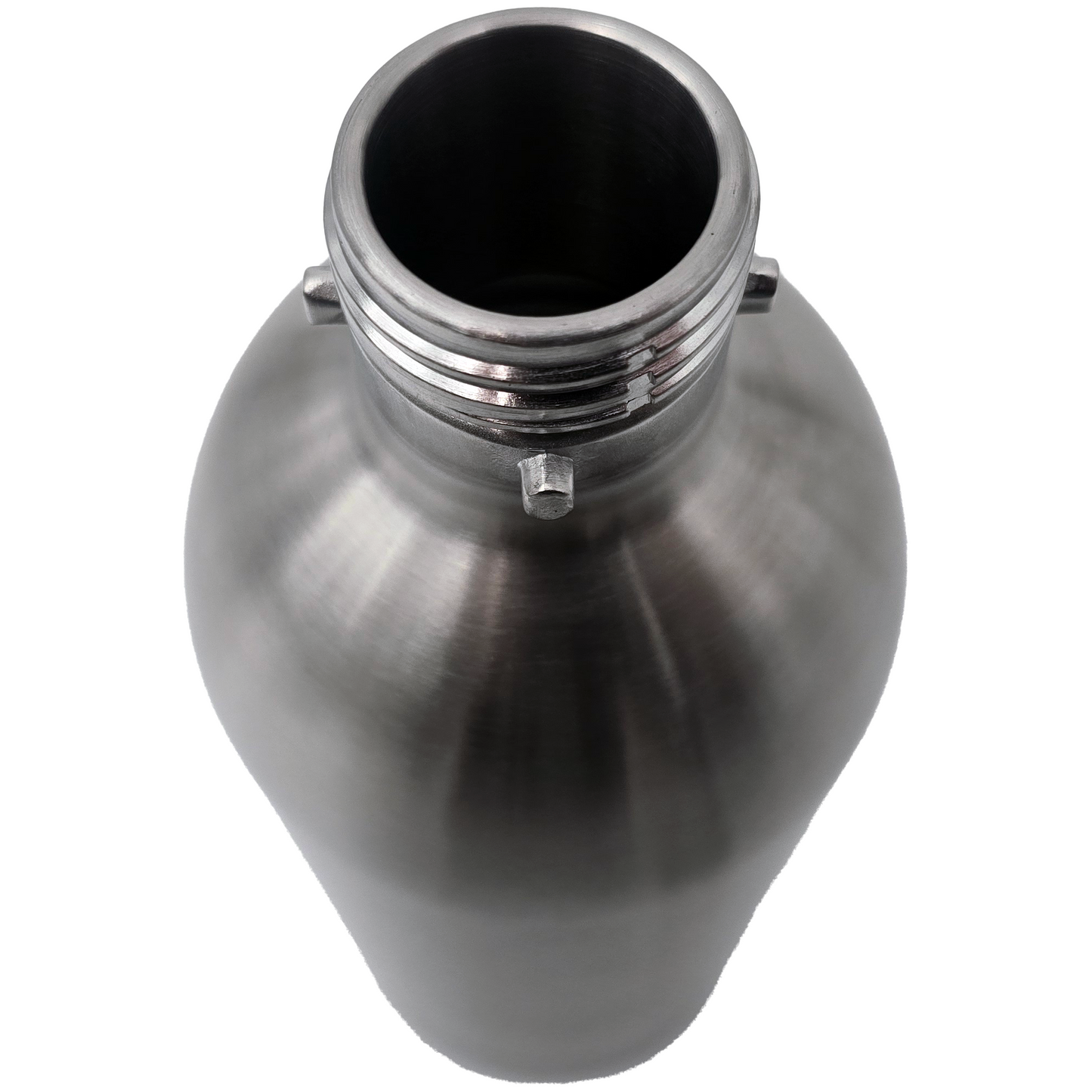 1L Stainless Steel Bottle, Compatible with Standard Fizz Infuser - Drinkmate UK